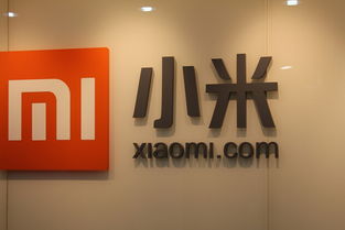 路飯網播報 小米特色功能引關注，Google AdSense廣告業(yè)務意外受干擾